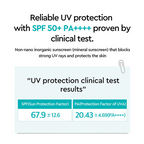 Dewytree Anti-Pollution Tinted Korean Sunscreen SPF 50+ PA++++