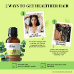 Just Herbs Eucalyptus Essential Oil