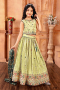 Kids Functional Designer Pista Chinon Fab Lehenga choli - Aaradhna