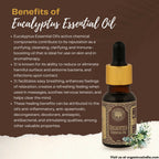 Organicos Eucalyptus Essential Oil