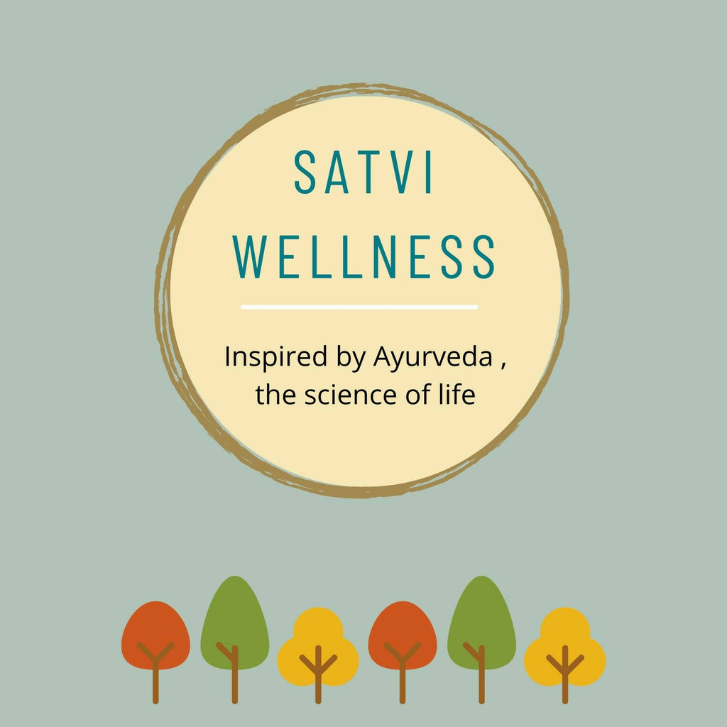 Satvi Wellness Ginger Cinnamon Tea - Distacart