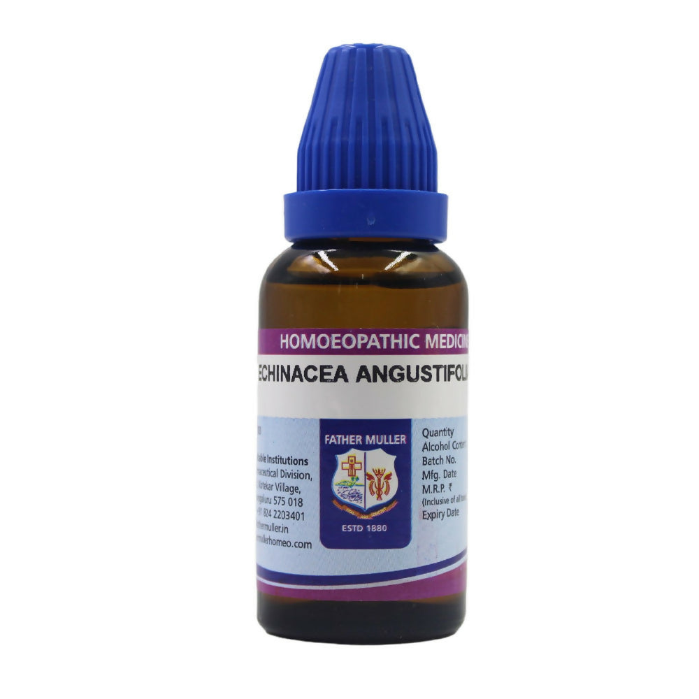 Father Muller Echinacea Angustifolia Dilution - Distacart