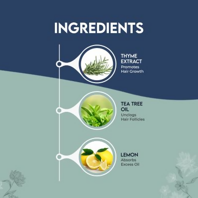 Jovees Thyme & Tea Tree Anti Dandruff Shampoo For All Hair Types - Distacart