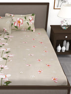 Story@home Beige & Red Floral Flat 240 TC 1 Double Bedsheet with 2 Pillow Covers