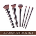 Matt Look Professional Signature Brush - Set of 6