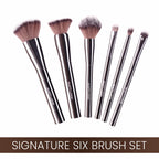 Matt Look Professional Signature Brush - Set of 6
