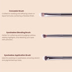 Matt Look Professional Signature Brush - Set of 6