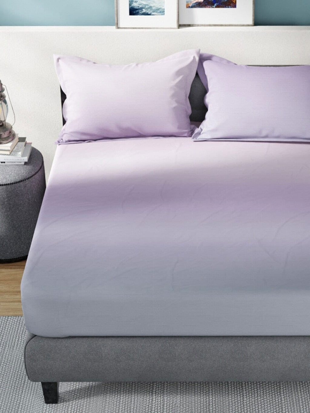 Nautica Bradford Purple & Mauve 160 TC Pure Cotton King Bedsheet & 2 Pillow Covers