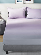 Nautica Bradford Purple & Mauve 160 TC Pure Cotton King Bedsheet & 2 Pillow Covers