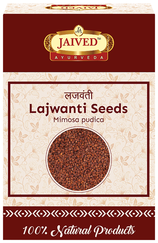 Jaived Ayurveda Sensitive Plant Lajwanti Seeds