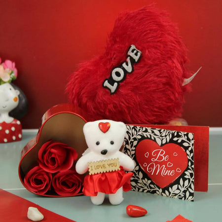 Tied Ribbons Valentine's Day Gifts Combo