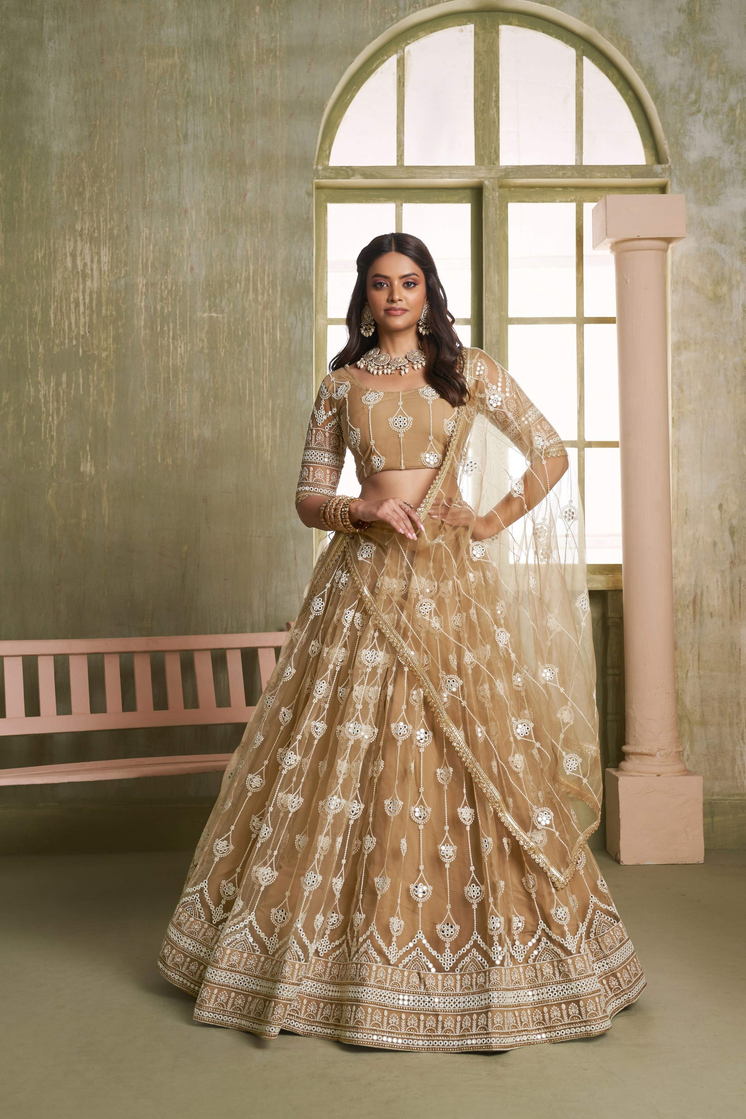 Eilara Classical Khaki Net A - Line Lehenga Choli