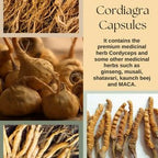 Cordy Herb Mens Sexual Health Supplement Capsules - Distacart