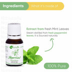 Naturalis Essence of Nature Peppermint Essential Oil