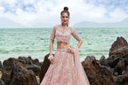 House of Panchhi Coral Net Multi Sequins with heavy Zarkan embroidery Lehenga choli & Dupatta