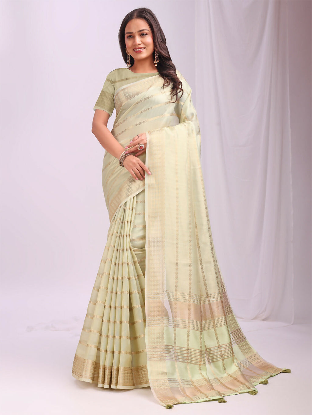 Shree Shyam Fashion Organza Light Green Saree - Distacart