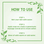 Earth Science Ayurveda Basil Scrub Bath Soap