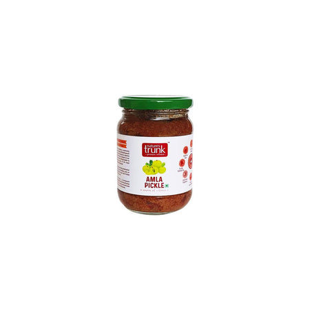 Nature's Trunk Amla pickle