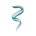 Makeup Revolution Ultimate Lights Chromatic Liner - Teal Bling - Distacart