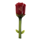 Shryoan Rose Liquid Smudge Proof & Waterproof Sindoor - Maroon - Distacart