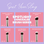 PAC Studio Spotlight Concealer Series (5 Brushes)