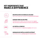 Indulgeo Essentials Cica Reedle Essence With PDRN