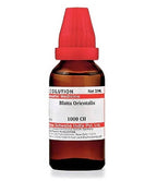 Dr. Willmar Schwabe India Blatta Orientalis Dilution