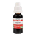 Adel Homeopathy Absinthium Mother Tincture Q