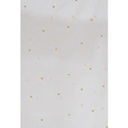 A R Silk Women's Moti Work Net Off White Dupattas and Chunnis