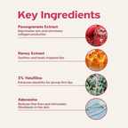 Frudia Pomegranate Honey 3 In 1 Lip Balm