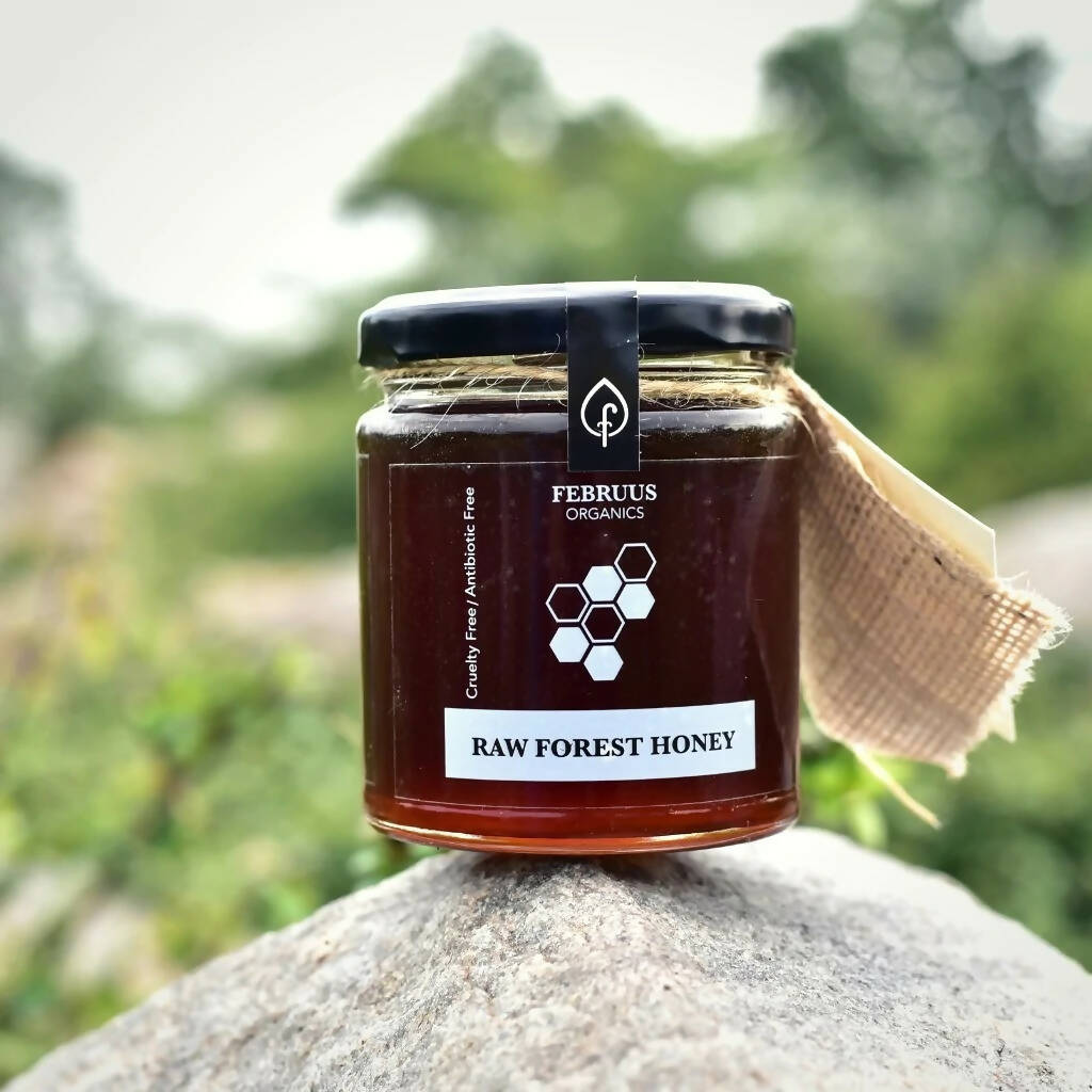 Februus Organics Natural Raw Forest Honey