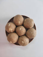 Govis Foods - Foxtail Millet Laddu (korralu)