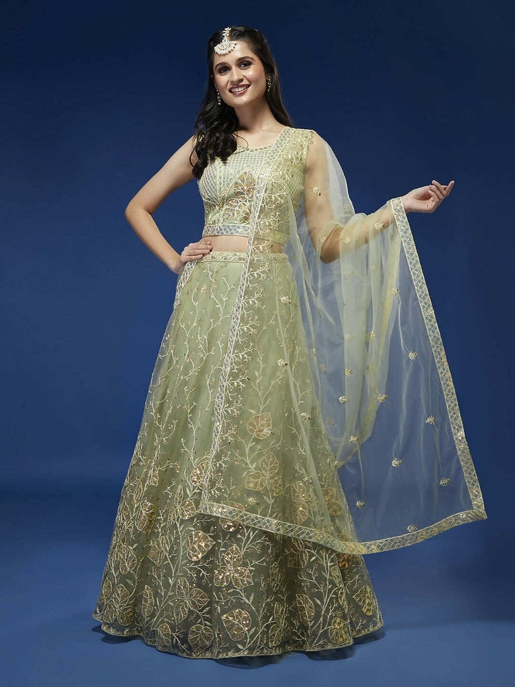 House of Panchhi Pista Net Sequinse Work Lehenga & Blouse, Dupatta