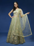 House of Panchhi Pista Net Sequinse Work Lehenga & Blouse, Dupatta