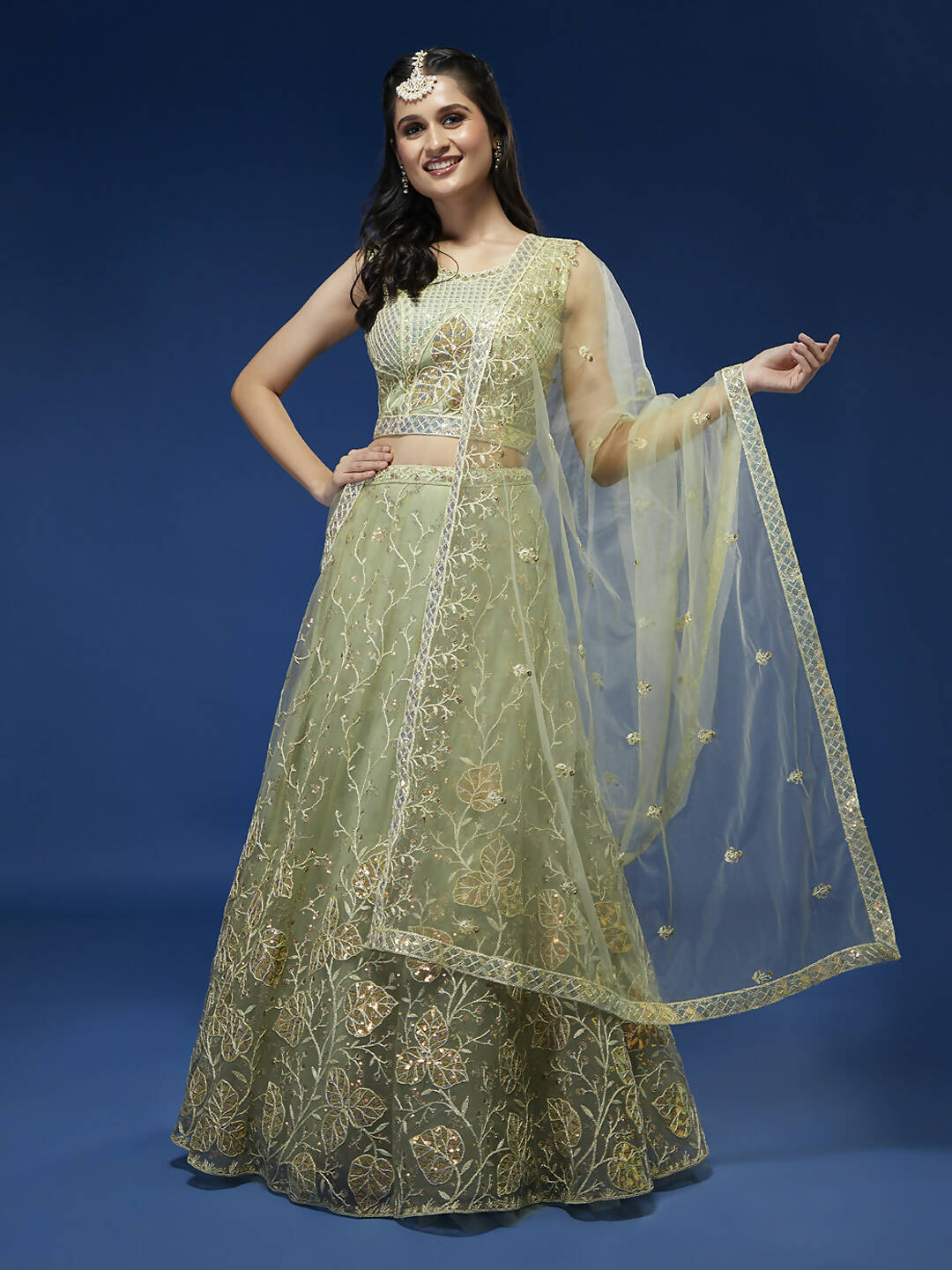 House of Panchhi Pista Net Sequinse Work Lehenga & Blouse, Dupatta
