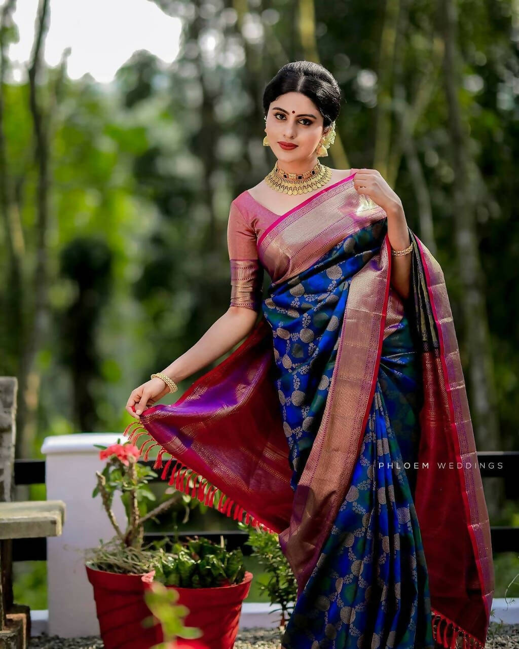 DEIANA'S Beautiful Designer Golden zari Soft Lichi Silk Saree - Royal Blue