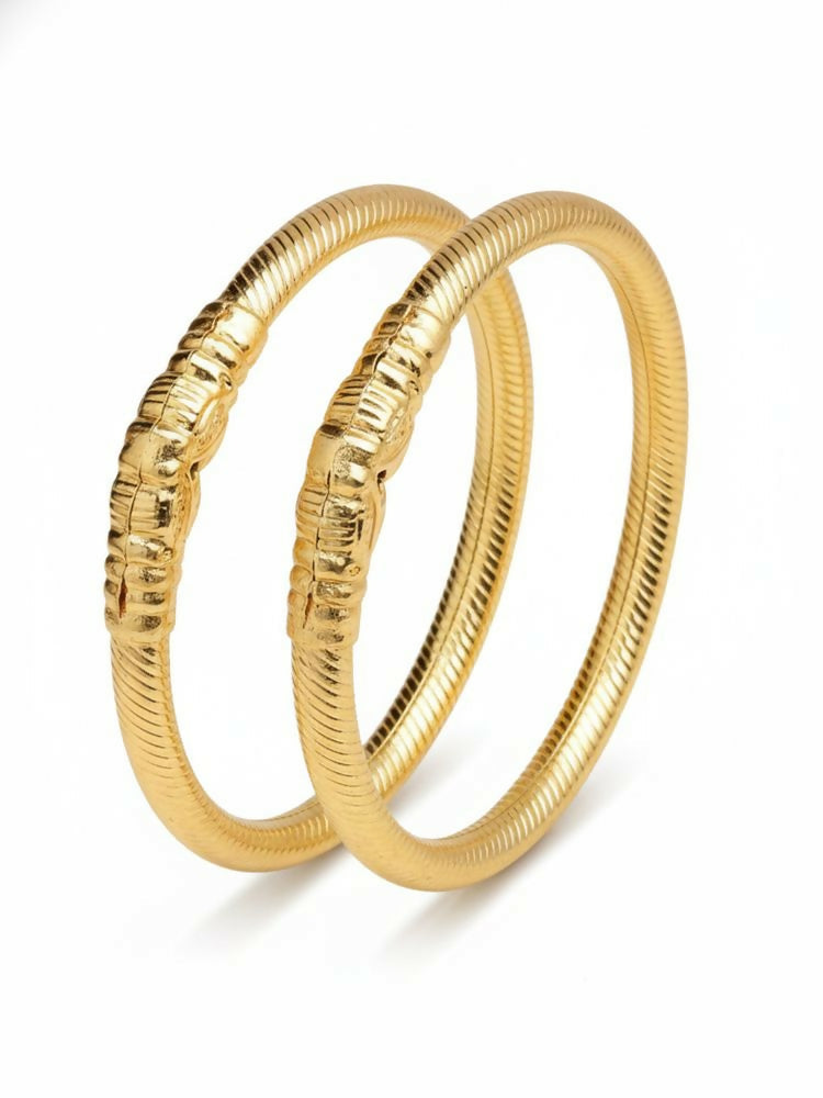 NVR Women Set of 2 Gold Plated Traditional Kada Bangle - Distacart