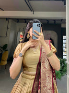 Vastranavya Traditional Jacquard Vichitra Silk Lehenga Choli - Chiku
