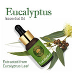 Old Tree 100% Pure Eucalyptus Essential Oil