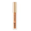 Lakme 9 To 5 Powerplay Priming Concealer Built In Primer, Hydrating - 24 Beige