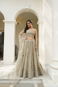 Eilara Glamorous Ivory Butterfly Net With Thread And Sequence Embroidered Work Fancy Lace Lehenga Choli For Wedding