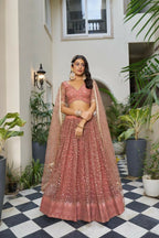 Aastha Fashion Rust Butterfly Net Tone To Tone Cotton Thread Work And Sequence Work Embroidery Wedding Wear Lehenga Choli