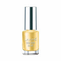 Lakme Color Crush Nailart - M12 Gold