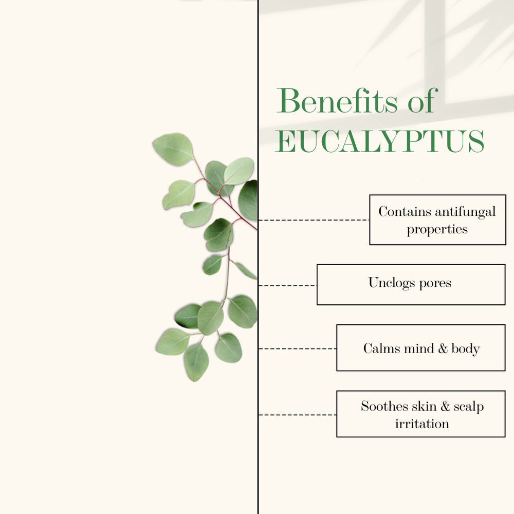 Good Vibes Eucalyptus 100% Pure Essential Oil