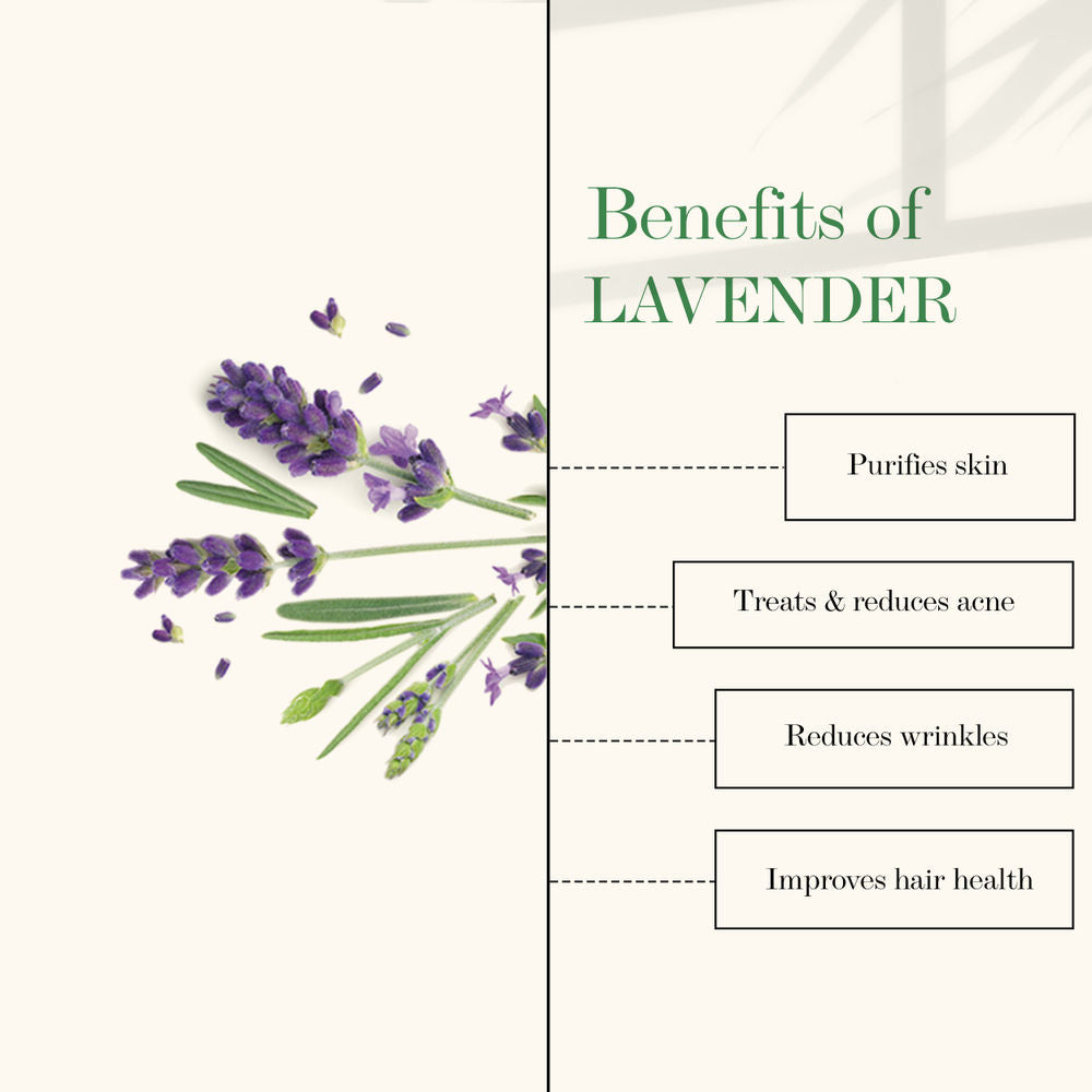 Good Vibes Lavender 100% Pure Essential Oil