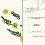 Good Vibes Amla & Shikakai Strengthening Conditioner