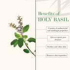 Good Vibes Blackhead Removal + Anti-Ageing Face Wash - Tea Tree Oil + Holy Basil