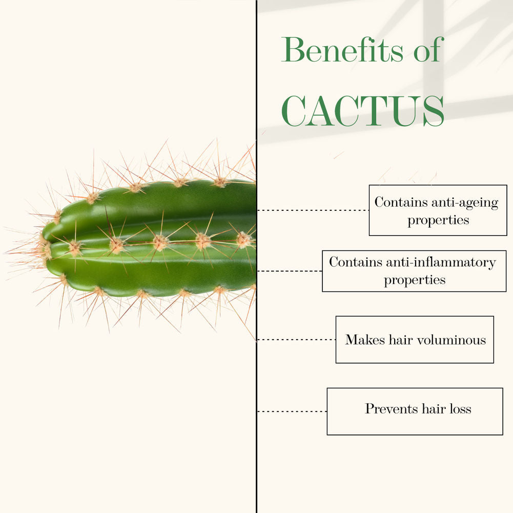 Good Vibes Cactus And Rosehip Cold Pressed Oil For Hair & Skin