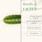 Good Vibes Cactus And Rosehip Cold Pressed Oil For Hair & Skin