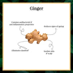 Good Vibes 100% Pure Essential Oil - Ginger